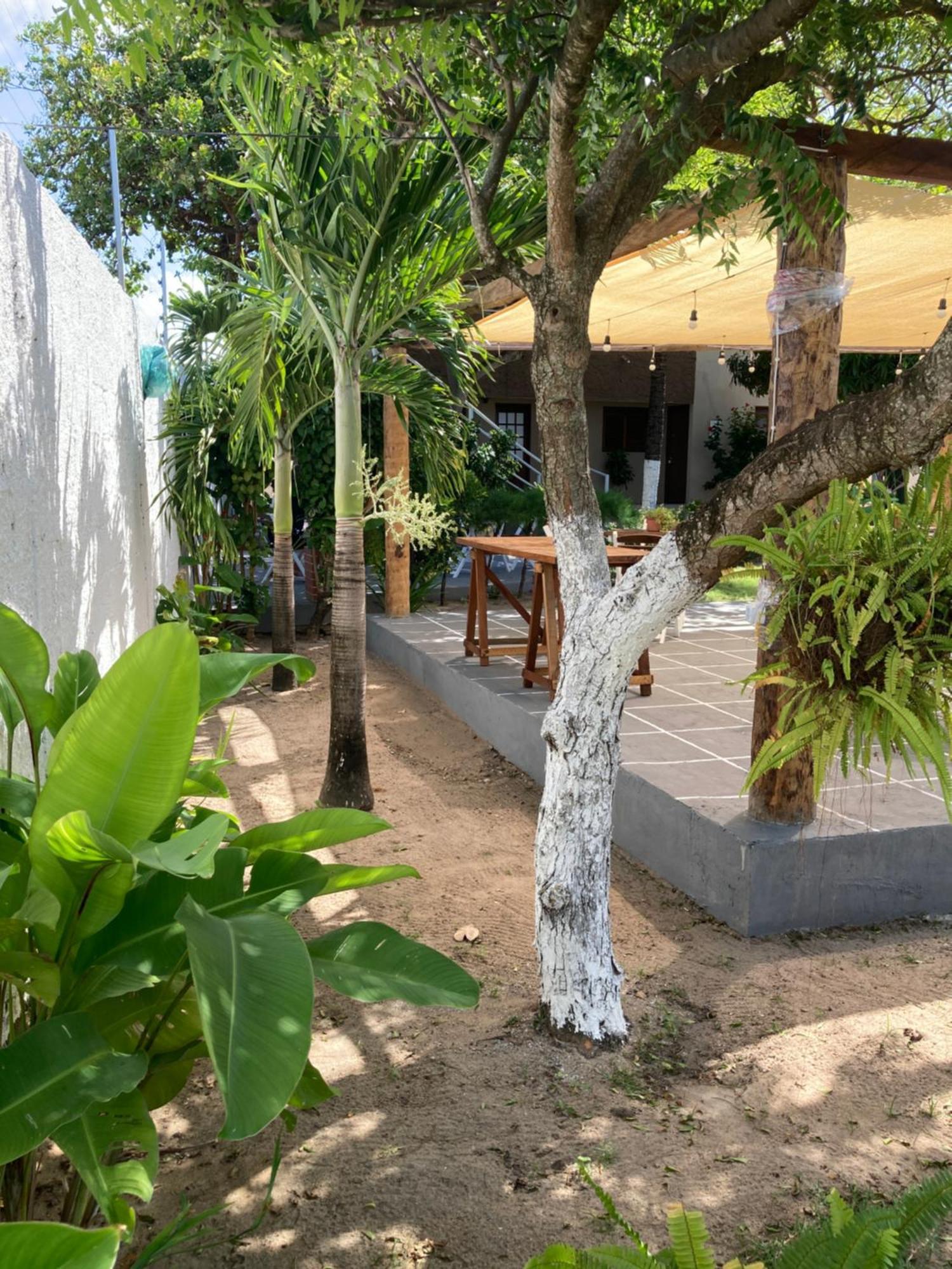Hotel Pousada Vitoria Pitimbu  Exteriér fotografie